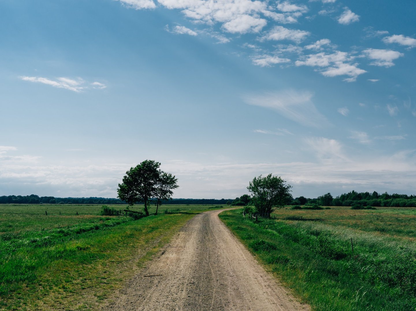 How to Verify Land Documents in Nigeria (Complete Guide for Safe Property Investment)